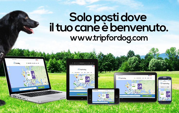 !cid_F83F6C67-19B8-4712-9EB9-3D341FE0C02A@fastwebnet