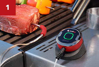 iGrill il Termometro per Bistecche