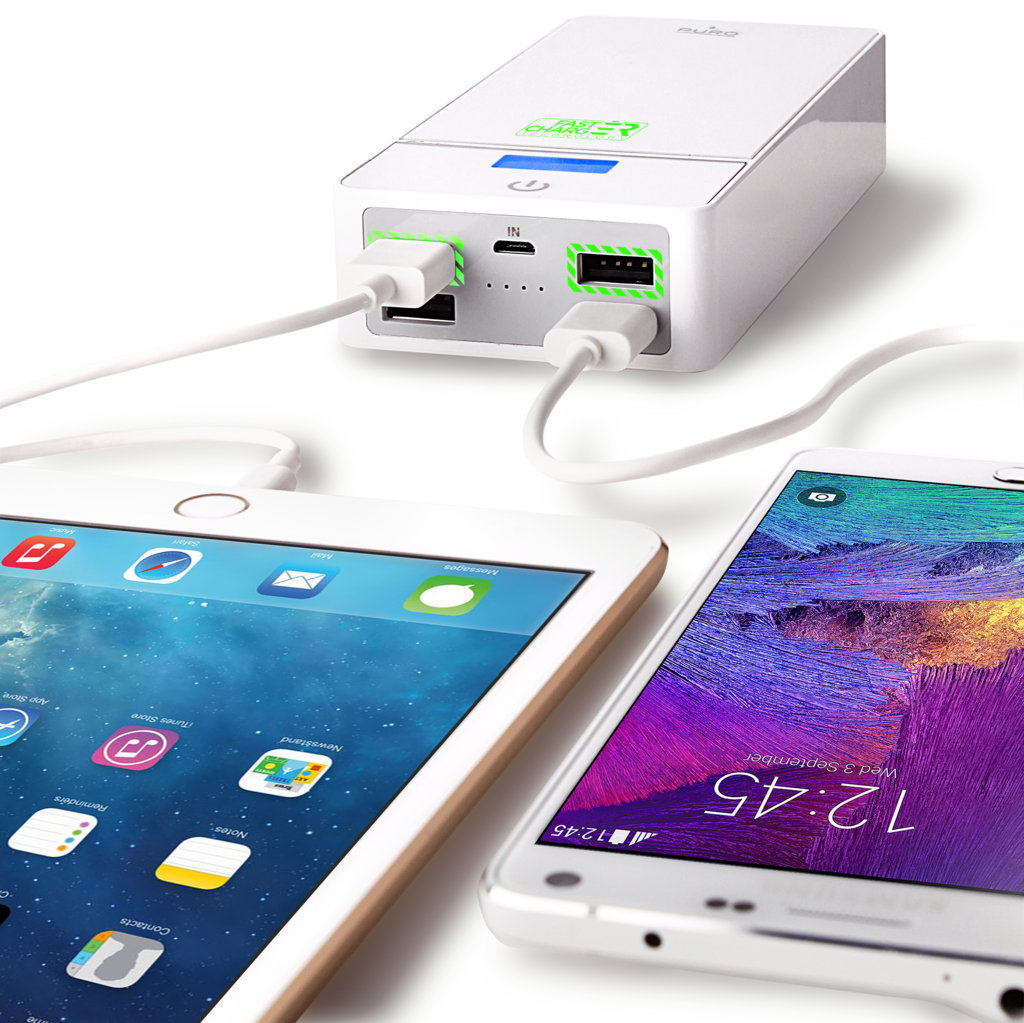 PURO Presenta Fast Charger