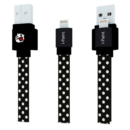 i-Paint: Cavo USB Pois