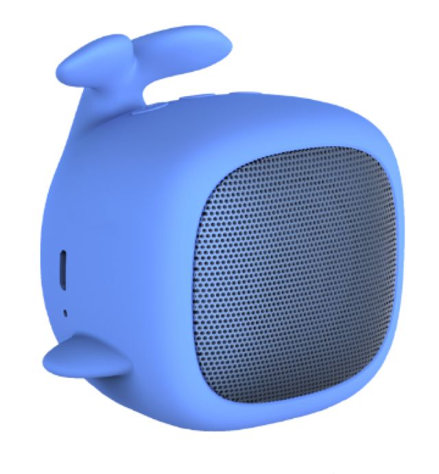 Qushini: Powerful Bluetooth Speaker