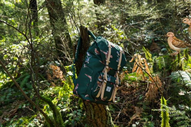 Herschel: Collezione Birds