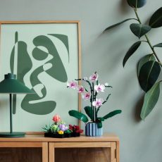 LEGO Presenta i Nuovi Set della Collezione Botanical: LEGO Orchidea e LEGO Piante Grasse