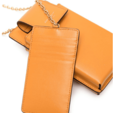 Custodia Ferragamo