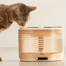 ROLA Smart Pet Water Fountain [Recensione]